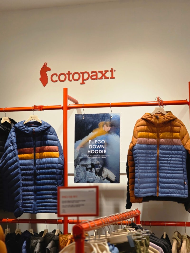 [여의도] 더현대 팝업 정보/로에베(LOEWE)/불가리/코토팍시(cotopaxi)/댄프(danp)