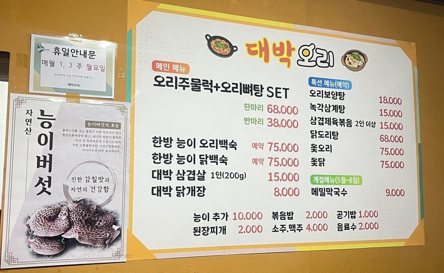 대박오리 사진 4