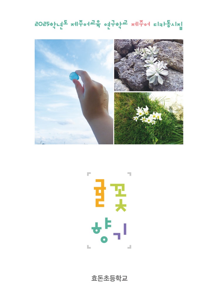 귤꽃향기 #효돈초등학교