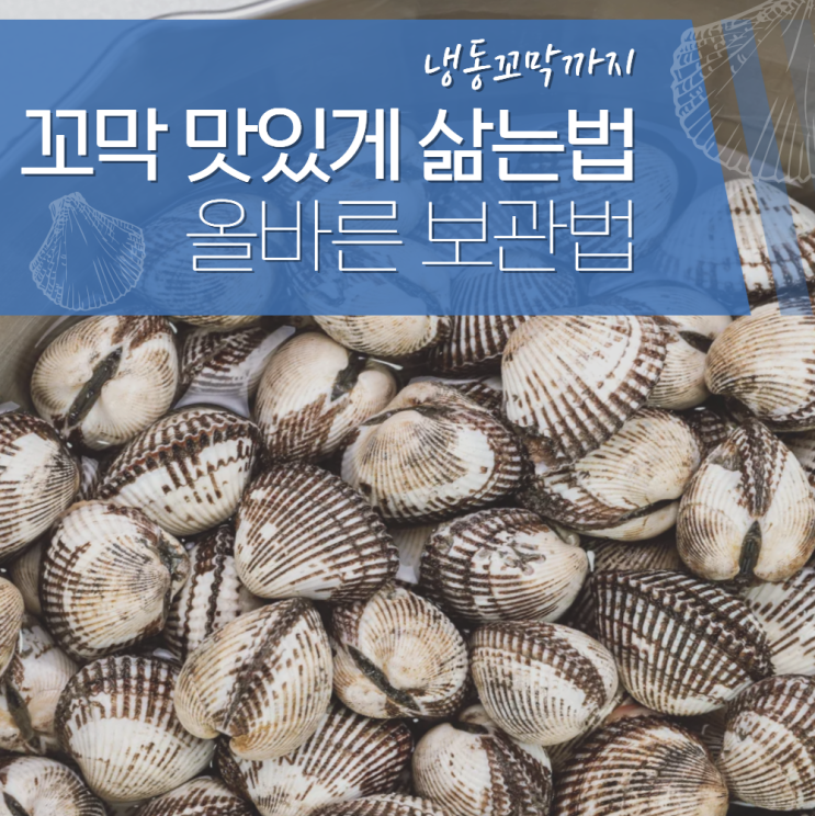  꼬막 맛있게 삶는법 보관법 냉동꼬막