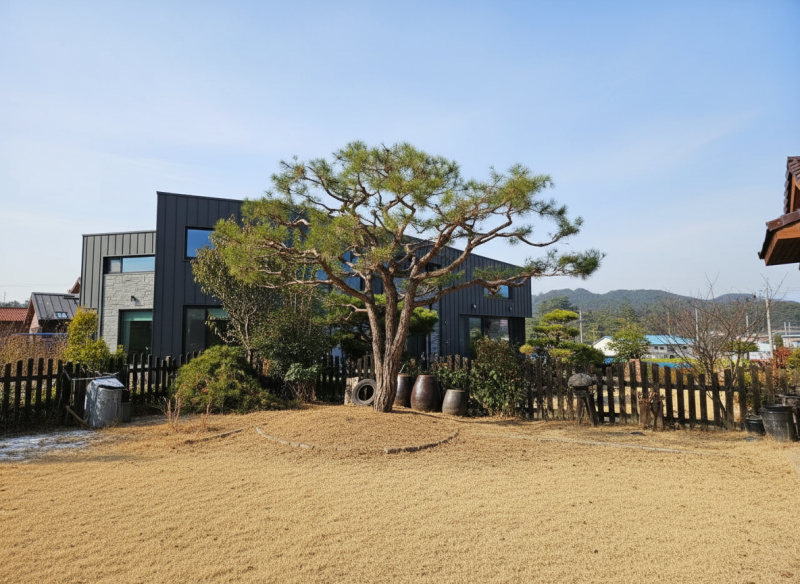 톱신페스트 만능이 아니다? 유럽 농장에서 배운 우리 집 나무 상처관리 후기