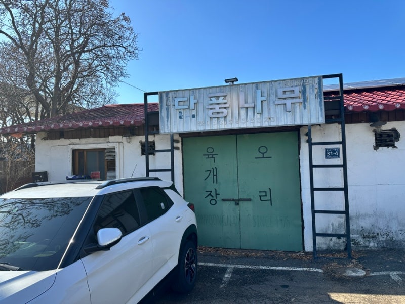 [우연히 맛집] 단풍나무-고양이 맛집(?) ㅋㅋ