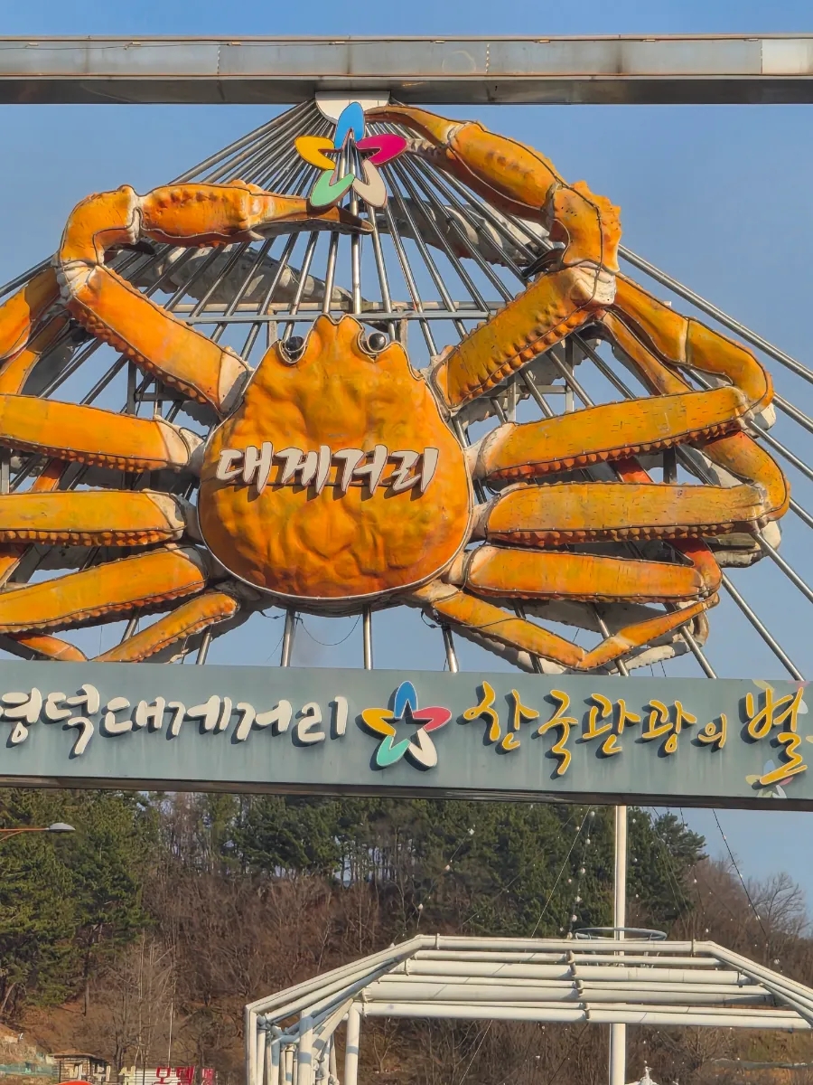싱싱대게 사진 1