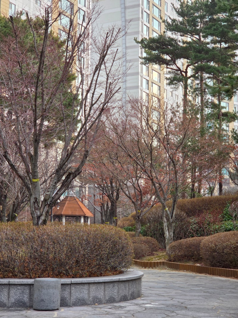 정책지식 2025.12.29. : 네이버 블로그