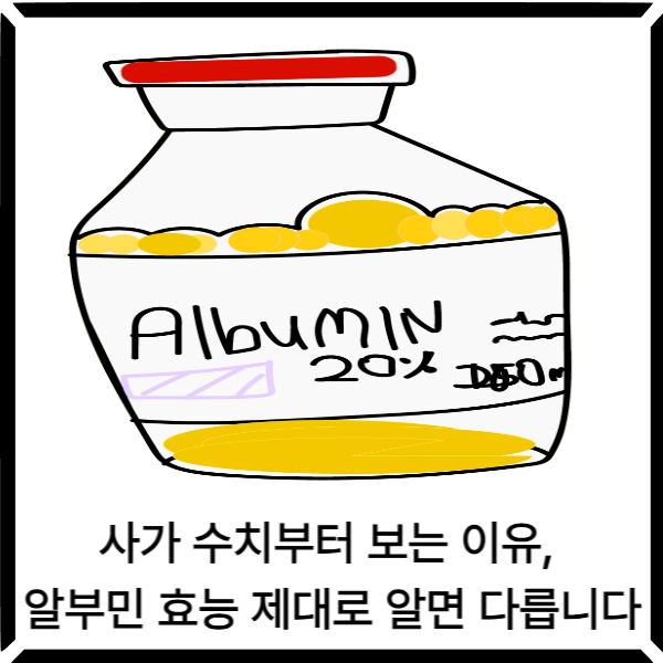  의사가 수치부터 보는 이유, 알부민 효능 제대로 알면 다릅니다