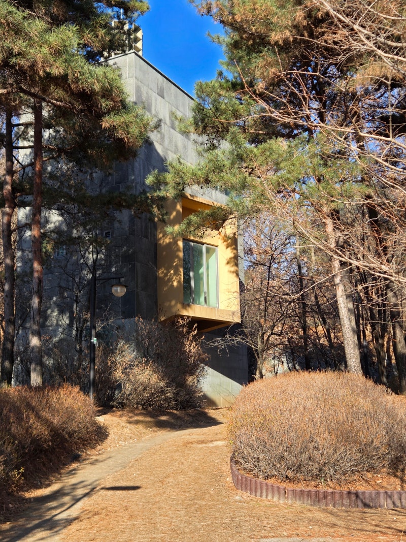 정책지식 2025.12.29. : 네이버 블로그