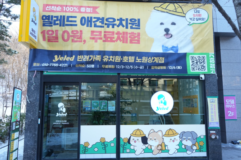 사진 7