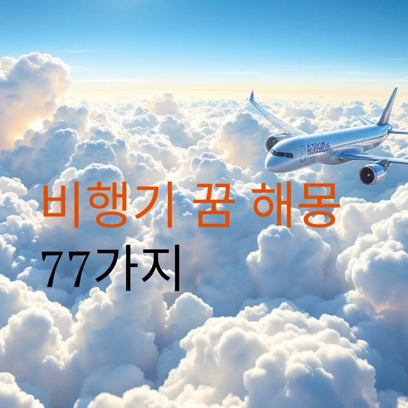비행기 꿈 해몽 77가지: 비행기 꿈, 당신의 비상이 시작됩니다! 꿈속의 비행기, 무엇을 의미할....