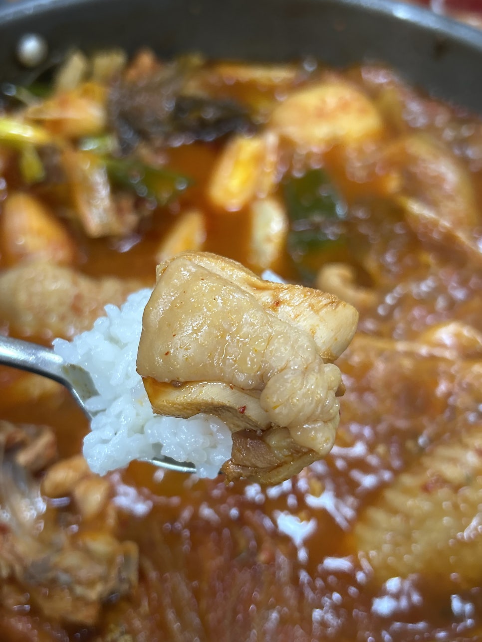 어강 사진 5