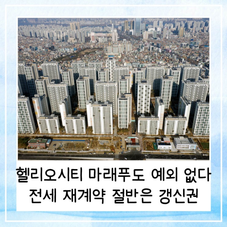  헬리오시티 마래푸도 예외 없다 | 전세 재계약 절반은 갱신권 사용