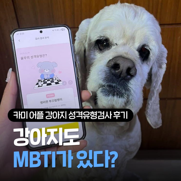  강아지 성격유형검사 카미 후기, 우리 집 반려동물 MBTI가 궁금하다면?