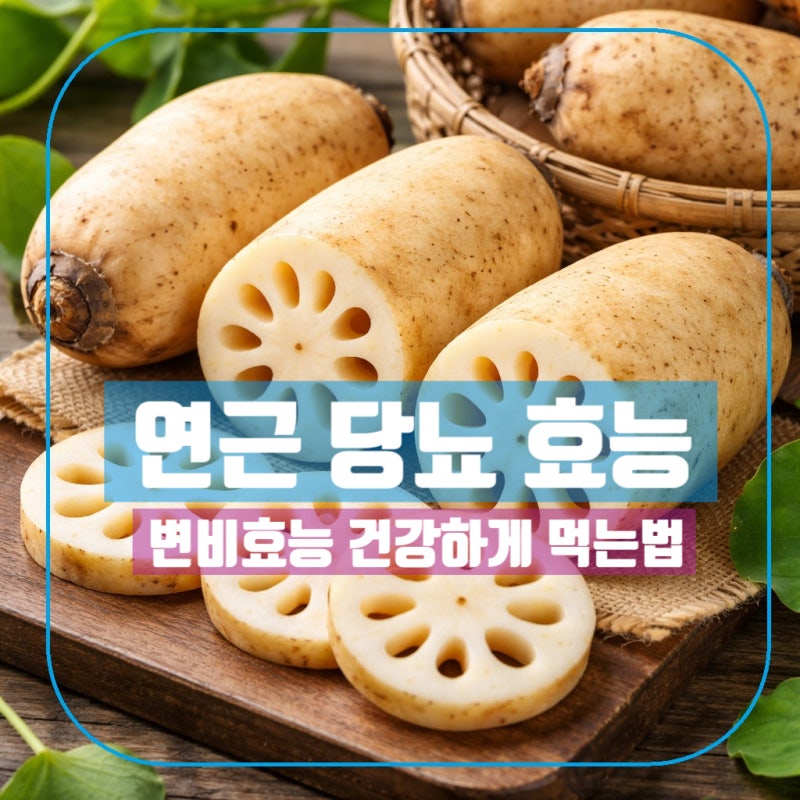 연근 효능 당뇨 변비 부작용 건강하게 먹는방법 자세히 알려드려요.