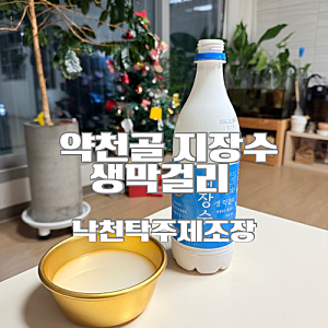 지장수생막걸리 낙천탁주제조장 약천골 솔직 후기, 생막걸리 특징과 장점