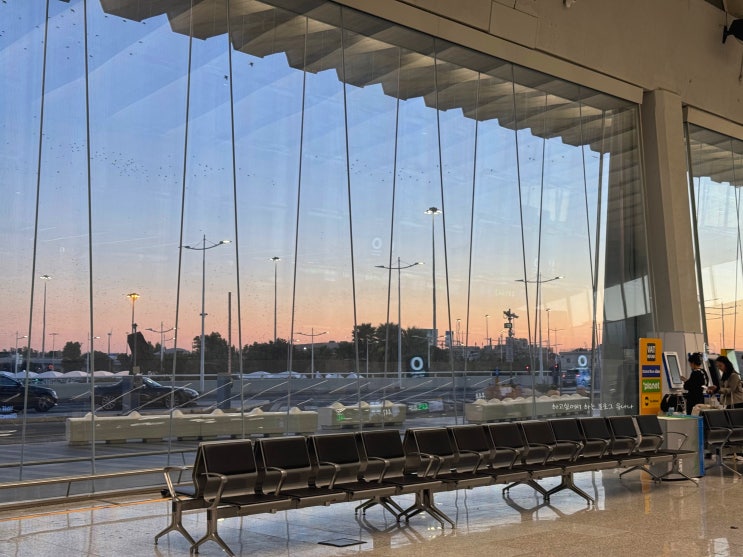  유럽 입국심사 EES 이탈리아 로마 피우미치노 공항 후기