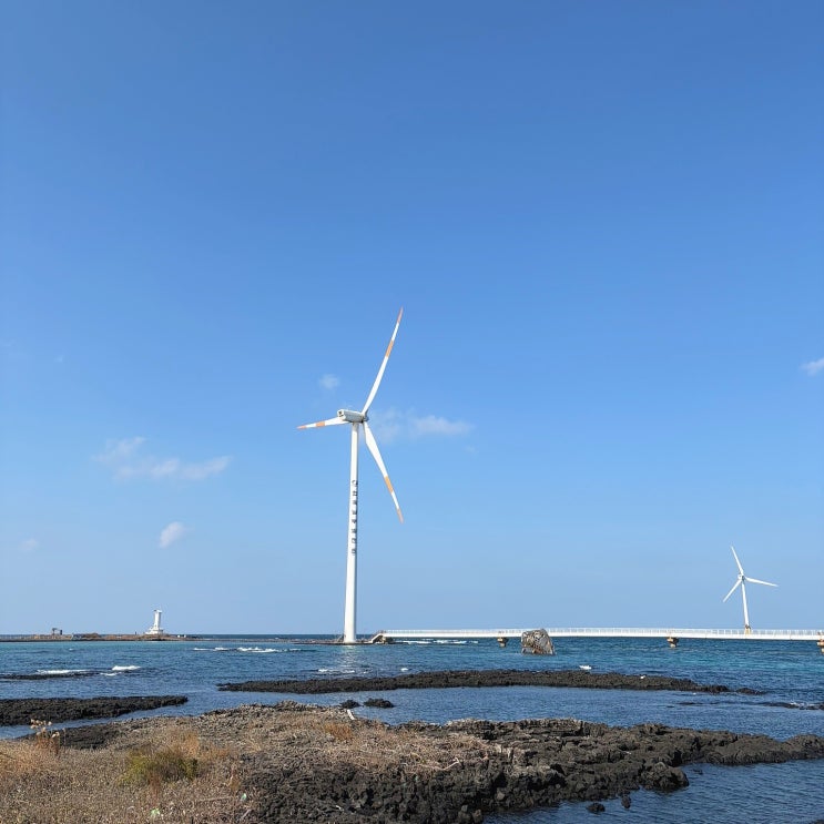  제주도 서쪽 한경면 여행코스 정리 판포포구, 신창풍차 해안도로 드라이브