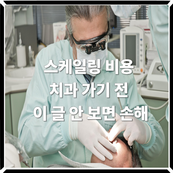  스케일링 비용, 치과 가기 전 이 글 안 보면 손해