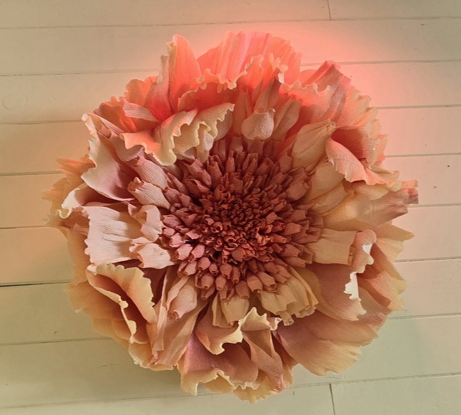 이리오계 사진 6