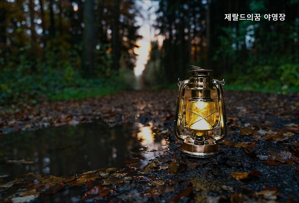 제랄드의꿈야영장 사진 2