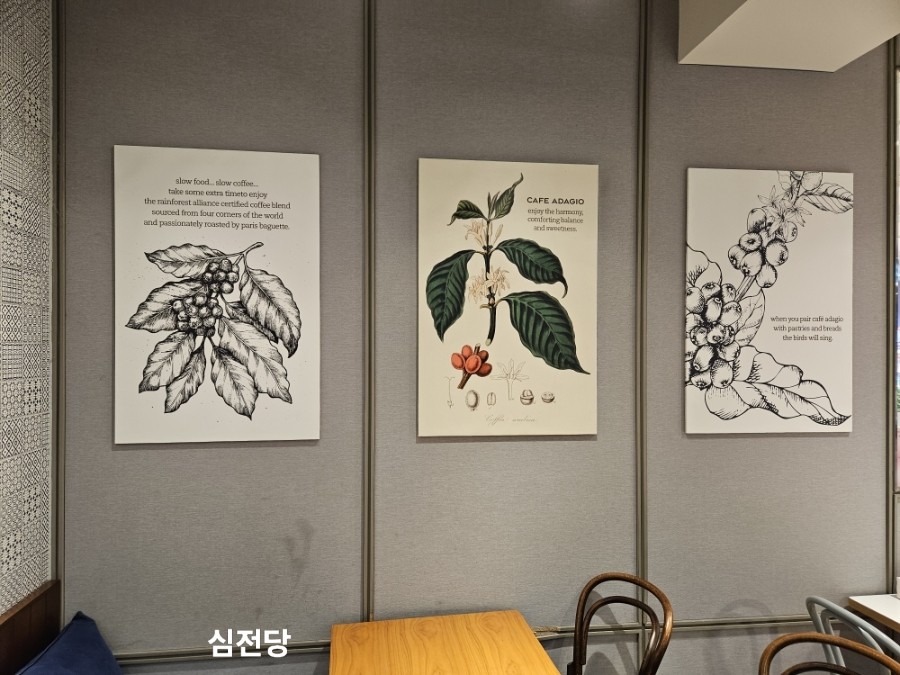 파리바게뜨 안동정하점 사진 3
