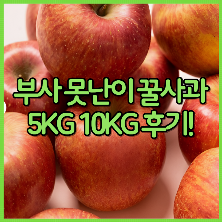  과일꾼 부사 못난이 꿀사과 5KG/10KG 솔직 후기｜설날 명절 선물 세트로 괜찮을까?