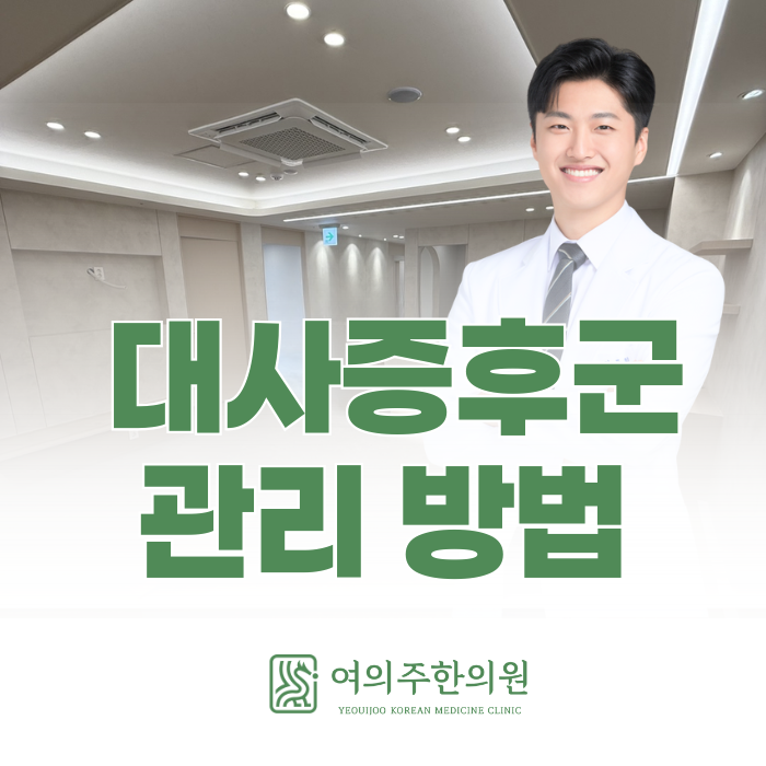  대사증후군 관리 방법, 체질과 대사 균형을 함께 보아야 합니다.