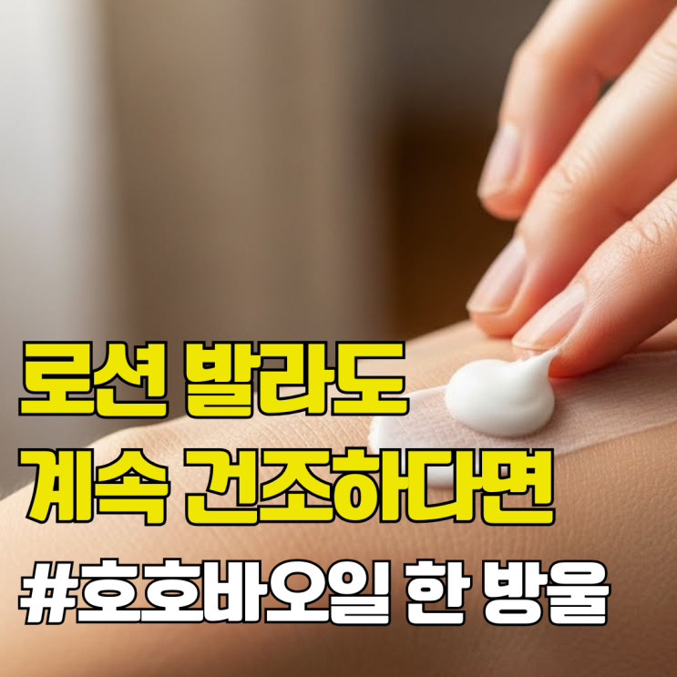  아토피 피부에 호호바오일이 정말 효과있을까? 딱 정리해드립니다.