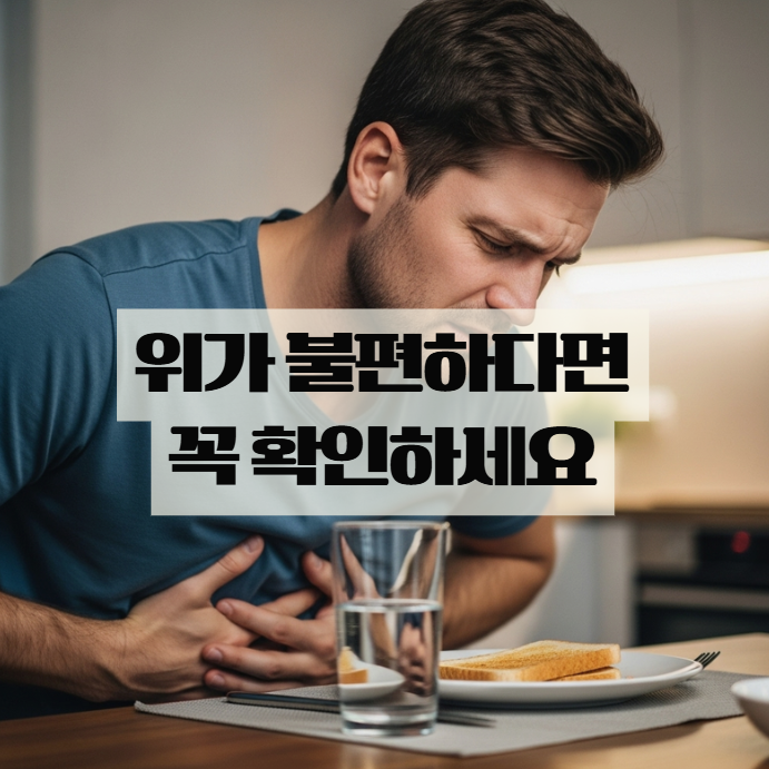  헬리코박터균 증상, 위가 불편하다면 꼭 확인해보세요