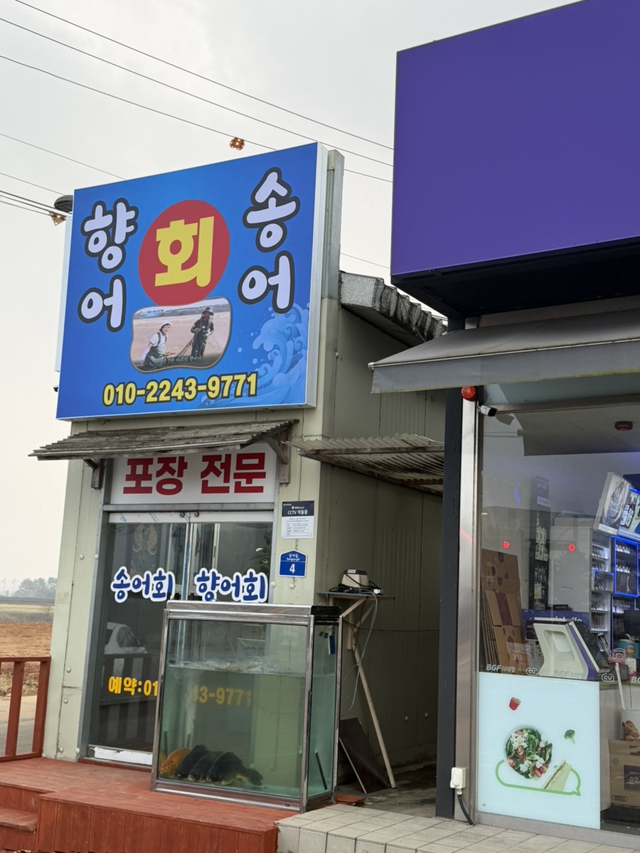 향어송어회 사진 4