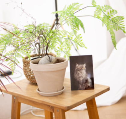 소중한 추억을 담을 사진액자 전문 쇼핑몰 !