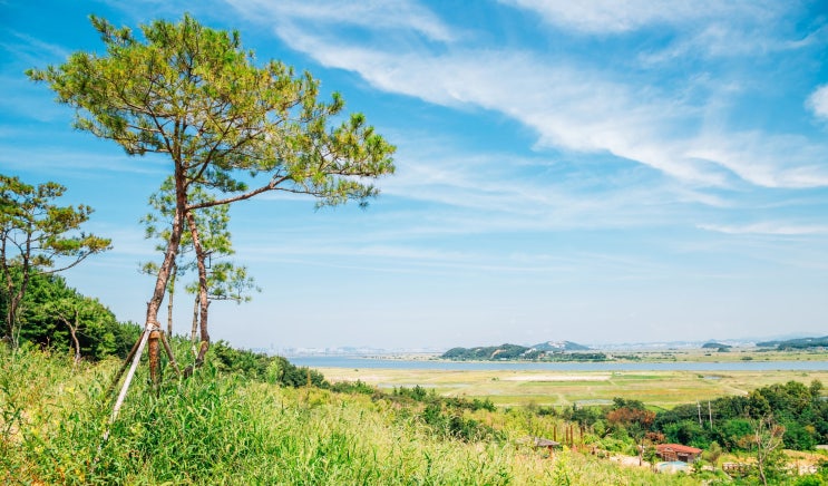  한국 대부도 여행 추천 코스