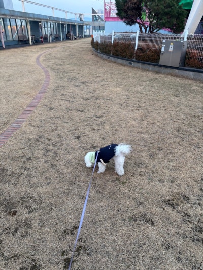 사진 2
