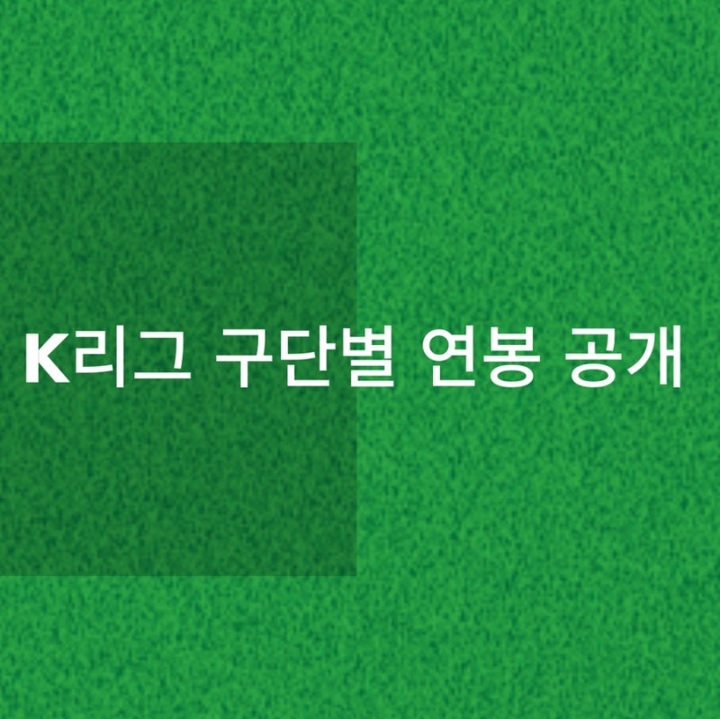 K리그 구단별 연봉 현황 선수 연봉 Top5