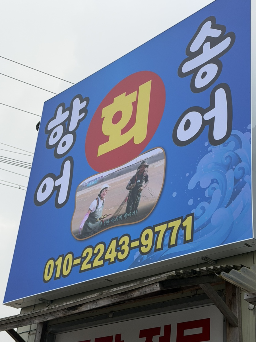 향어송어회 사진 2