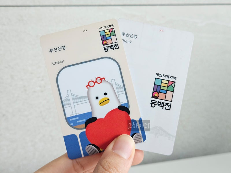 2026 동백전 캐시백 유효기간과 캐시백률 최대 10% 혜택 정리