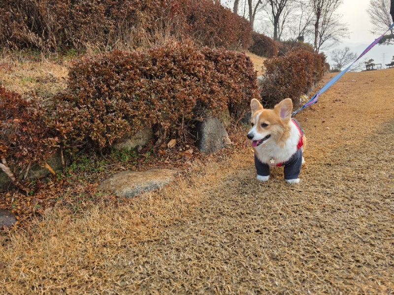 아이스크림스토리 도당점