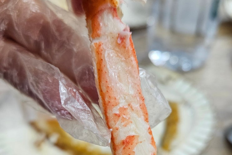  경주 감포 대게 맛집 '한반도 회대게 직판장' 솔직 후기 (ft. 꽉 찬 수율에 반함)