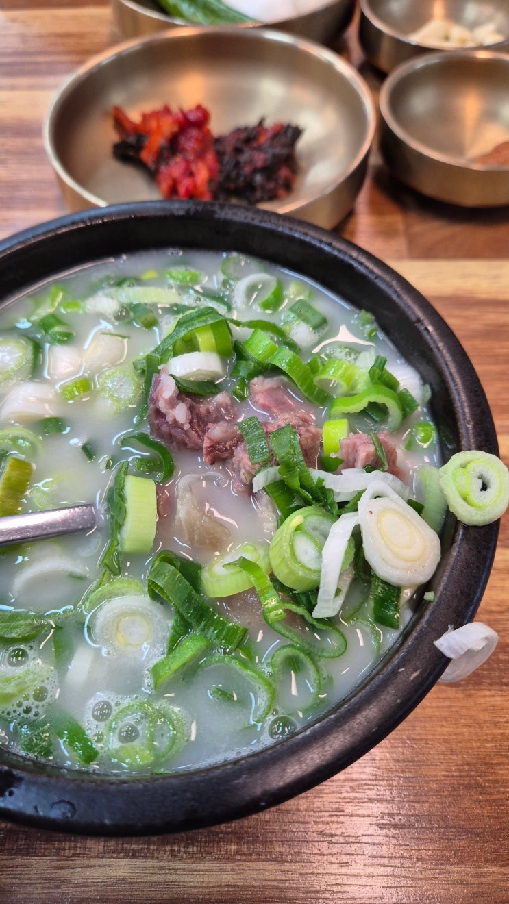  현풍 맛집! 대구 달성군에 오면 곰탕을 먹어야죠! 파 가득 특곰탕 한 그릇 [금산곰탕]