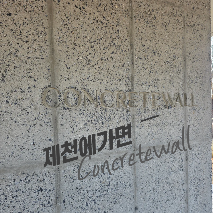  제천 콘크리트월 왜 한번씩 와 보는지 알겠더라