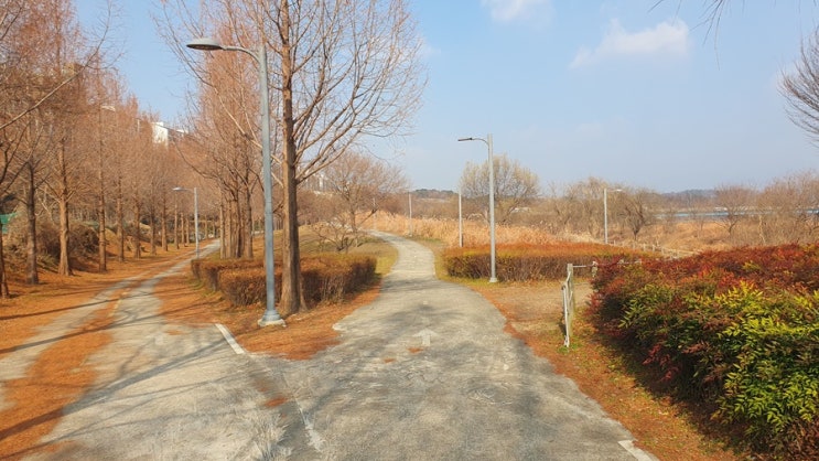  하루 10분 운동의 힘 이렇게나 있다고?