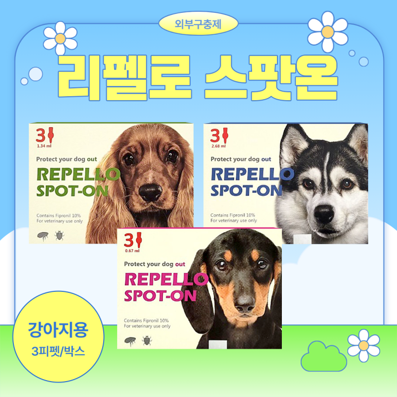 사진 2