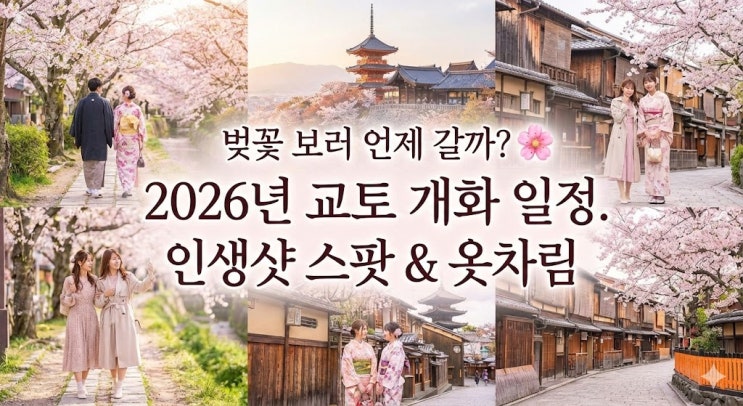  [2026 교토 벚꽃 여행] 개화시기 예상 & 인생샷 명소 BEST 4 (철학의길/기요미즈데라)