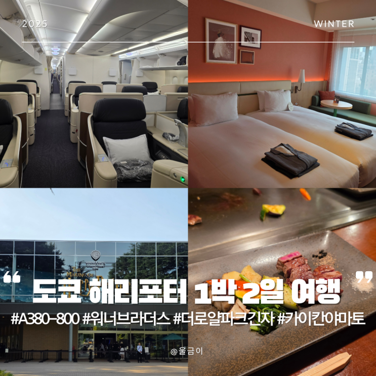  A380-800 더 로얄 파크 긴자 6초메 해리포터 스튜디오 산리오월드 카이칸 야마토 일본 도쿄 해리포터 여행