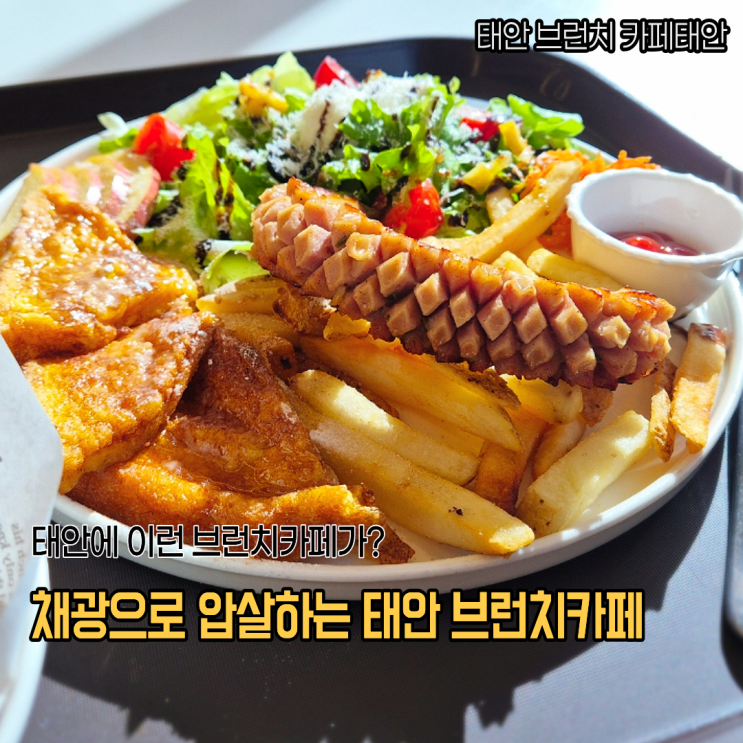  채광으로 분위기 압살하는 태안 브런치 카페태안 후기