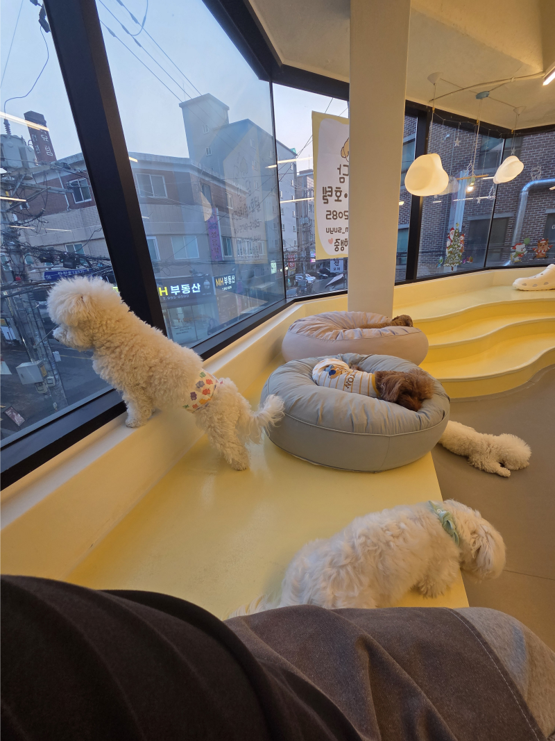 사진 3
