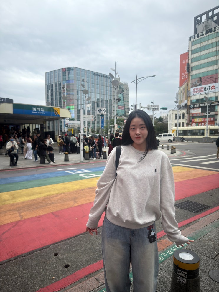  2025년 한 해 동안 블로그 성과와 생각 정리