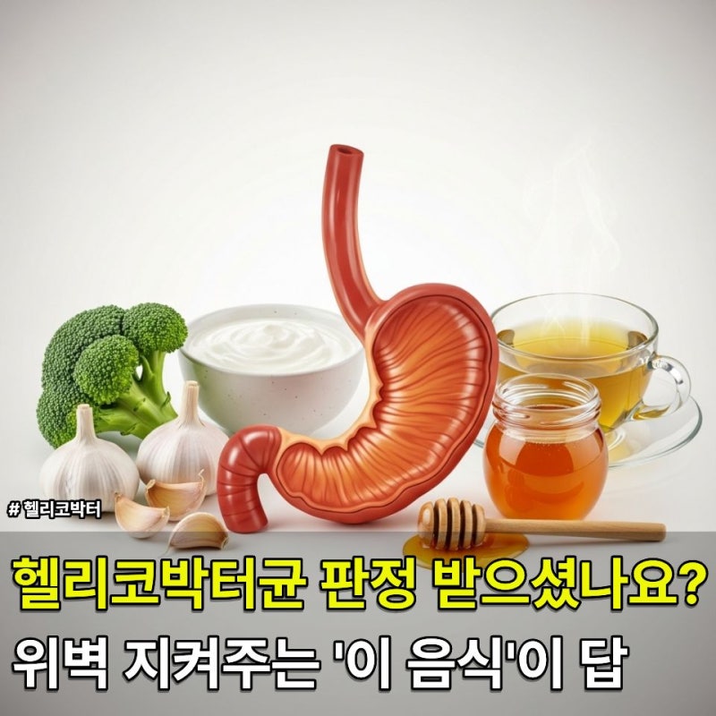 약 먹기 전 꼭 확인하세요! 헬리코박터균에 좋은 음식 TOP 5