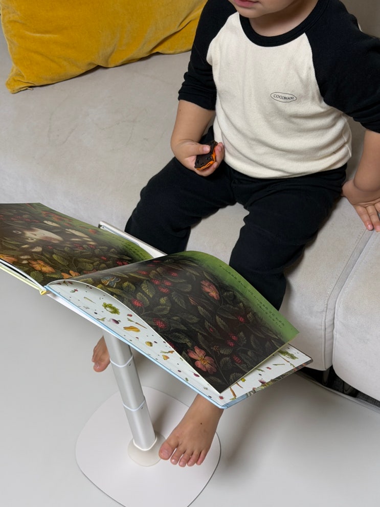  까사드로잉 독서대 단점포함 찐 사용 후기와 싸게 구매하는 방법