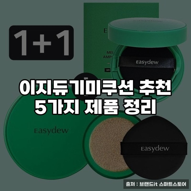이지듀기미쿠션 추천 5가지 제품 정리