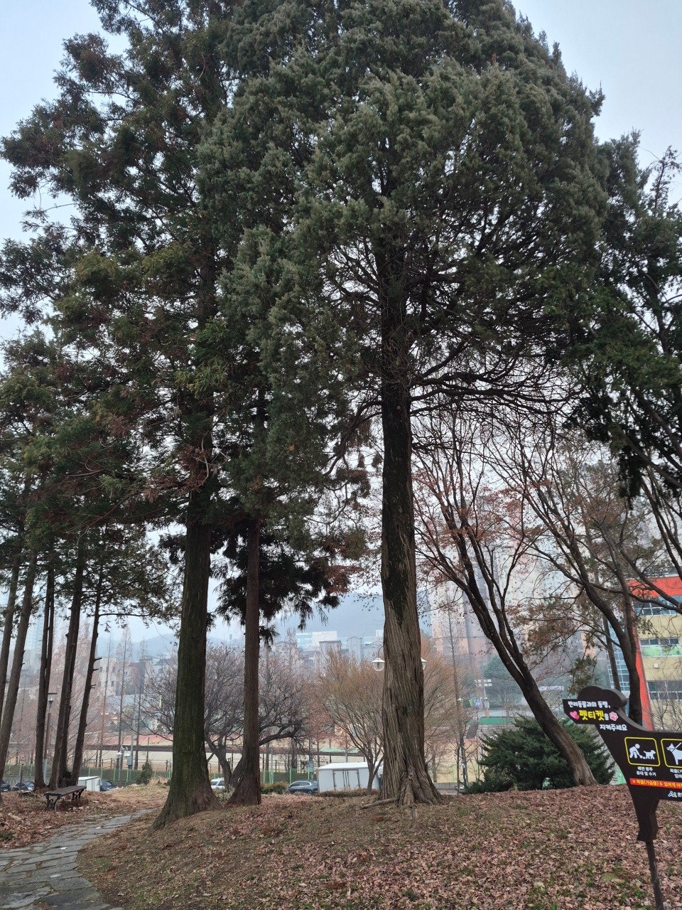 장골 사진 2