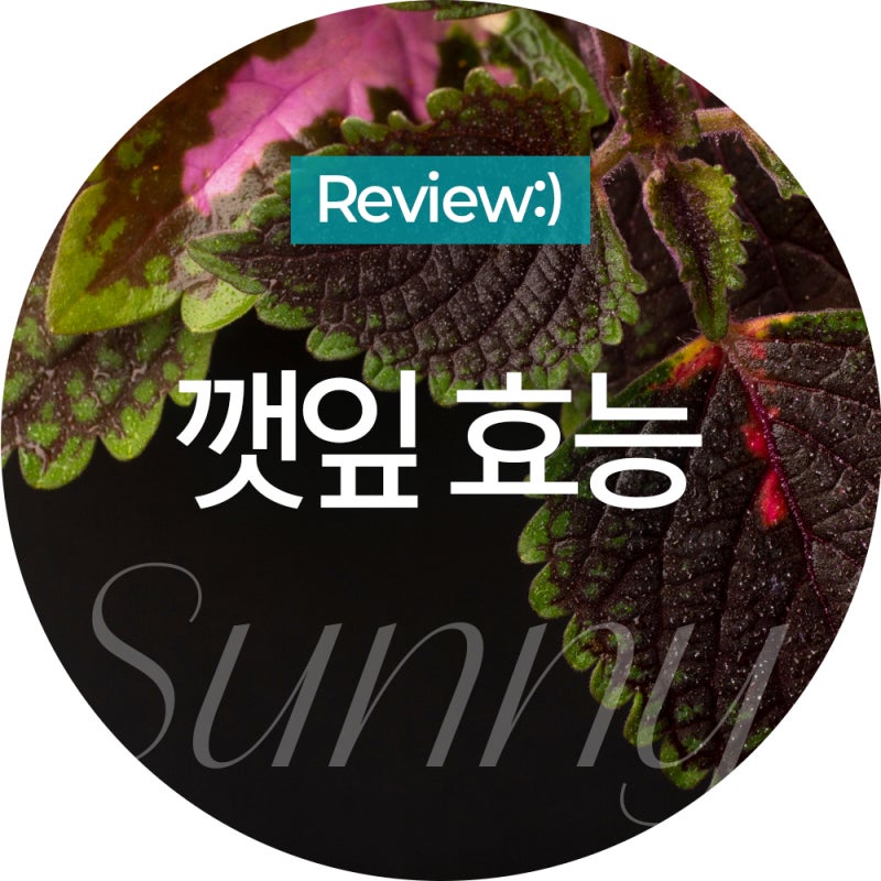 깻잎 효능 당뇨 항염작용 깻잎 효능 부작용 많이 먹어도 괜찮을까?